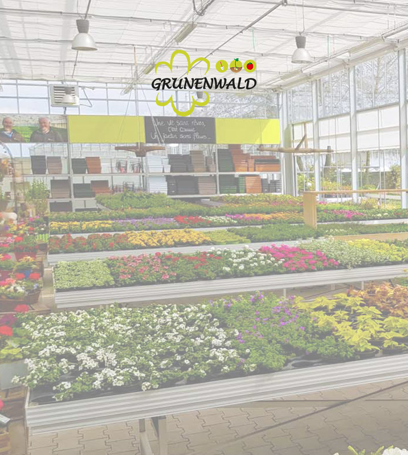 Vitrophanie et logo Fleurs Grunenwald